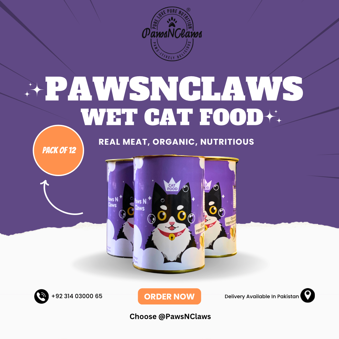 PawsNClaws Cat Food Exclusive Offer (Pack Of 12)